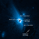The star, its debris ring, and the much larger disk of dust
